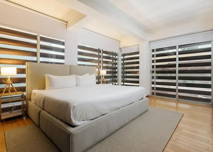 Amazing Duplex 2br In The Heart Of Condesa