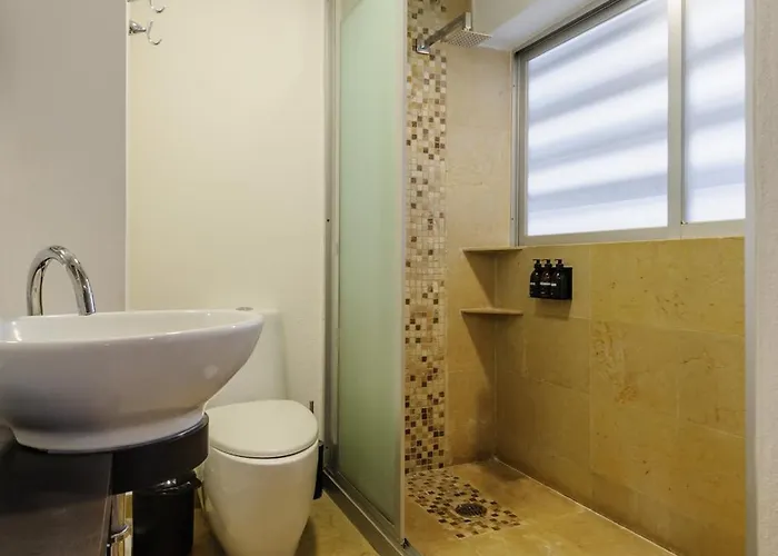 Apartment Amazing Duplex 2br In The Heart Of Condesa